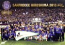 【中古】 サンフレッチェ広島 2013 一丸/サンフレッチェ広島