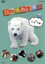【中古】 NHKDVD 動物の赤ちゃん ドキドキ編/(キッズ)