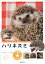 【中古】 ハリネズミ 小動物飼い方上手になれる！／大野瑞絵(著者),井川俊彦