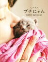 【中古】 プチパリにゃん/酒巻洋子(著者)