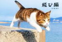 【中古】 飛び猫/五十嵐健太(著者)