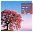 【中古】 写真集 一度は見たい桜/森田敏隆,宮本孝廣