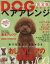 【中古】 DOGヘアアレンジ　決定版カタログ 別冊家庭画報／世界文化社