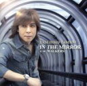 【中古】 IN　THE　MIRROR／山根康広