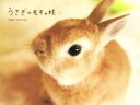 【中古】 写真集 うさぎのモキュ様/Imai Tomoko(著者)