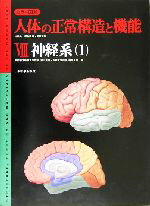 【中古】 カラー図解　人体の正常構造と機能(8) 中枢神経系の構造・高次神経機能・運動系-神経系1 カラー図解人体の正常構造と機能8／..