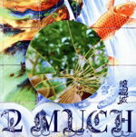 【中古】 2　MUCH（完全生産限定盤）／龍宮城