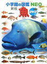 【中古】 魚 新版 小学館の図鑑NEO4／小学館