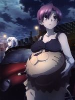  Fate／kaleid　liner　プリズマ☆イリヤ　ツヴァイ　ヘルツ！第2巻（Blu－ray　Disc）／ひろやまひろし（原作）,TYPE－MOON（原作）,門脇舞以（イリヤスフィール・フォン・アインツベルン）,名塚佳織（美遊・エ