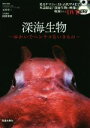 【中古】 深海生物 ～ゆかいでヘンテコないきもの～／石垣幸二,阿部秀樹