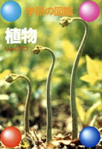 【中古】 植物 学研の図鑑／植物