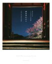 【中古】 清水寺公式インスタグラム写真集 清水寺の日々 FEEL KIYOMIZU/清水寺(その他)