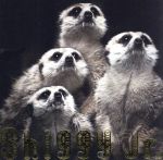 【中古】 GHOST PARTY（初回限定盤）（DVD付）／Shiggy Jr．
