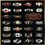 【中古】 KAMEN　RIDER　Anniversary　Collaboration　Project　改造～Covers～／RIDER　CHIPS