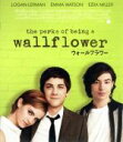 【中古】 ウォールフラワー スペシャル・プライス(Blu−ray Disc)/ローガン・ラーマン,エマ・ワトソン,エズラ・ミラー,スティーヴン・チョ...