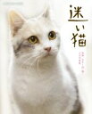 【中古】 迷い猫 映画「先生と迷い猫」公式写真集/関由香(著者),中岡美樹(著者)