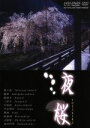 【中古】 夜桜 京都・東北編 HD-DVD ツインフォーマット版(HD-DVD)/(BGV)