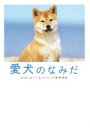 【中古】 愛犬のなみだ/リンダパブリッシャーズ編集部(著者)