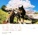 【中古】 ももとじん 小さな甲斐犬と耳の聴こえない雑種犬/むらかみかづを(著者)