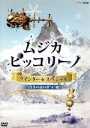  NHK　DVD「ムジカ・ピッコリーノ　ウインター☆スペシャル」真冬の夜の夢／風／（キッズ）,浜野謙太,斎藤アリーナ,山口康智,サンコンJr．,ROLLY,森啓一郎,首藤康之