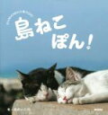 【中古】 島ねこぽん!/あおいとり(著者)