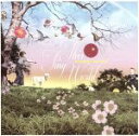 【中古】 This Tiny World／松尾清憲