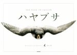 【中古】 写真集　ハヤブサ　THE　WING　OF　FALCON／熊谷勝(著者)