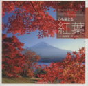 【中古】 写真集 心も染まる紅葉/森田敏隆(その他),宮本孝廣(その他)