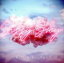 【中古】 Sissy Sky(初回限定盤)/宮川愛李 330円
