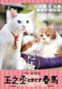 【中古】 いやし猫 DVD 猫侍 玉之丞ときどき春馬/(趣味/教養)