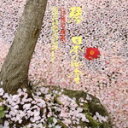 【中古】 琴/日本の四季〜抒情名曲集/米川敏子