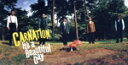 【中古】 It’s a Beautifu Day/カーネーション