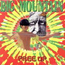 【中古】 【輸入盤】FREE UP/ビッグ・マウンテン