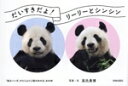 【中古】 だいすきだよ!リーリーとシンシン 「毎日パンダ」がとらえた2頭のあの日、あの時/高氏貴博(著者)