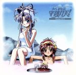 【中古】 ドラマCD「伝心　まもって守護月天！」第6巻／（ドラマCD）,桜野みねね,國府田マリ子（守護月天シャオリン）,阪口大助（七梨太助）,高田由美（慶幸日天ルーアン）,桑島法子（万難地天キリュウ）,森川智之（宮内出雲）,置鮎龍太郎（野村たかし