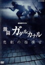 【中古】 NHKスペシャル 激闘ガダルカナル 悲劇の指揮官/(ドキュメンタリー)