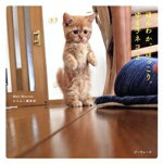 【中古】 写真集　ほんわか、ほっこり、ゆる子ネコ(2)／Mac　Marron(著者),にゃんこ編集部(編者)