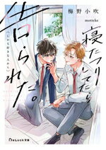 【中古】 寝たフリしてたら告られた。（しかも好きな人から） BeLuck文庫／梅野小吹(著者),motteke(イ..