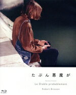 楽天市場】たぶん悪魔が [DVD]の通販