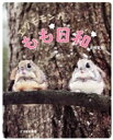 【中古】 写真集 エゾモモンガ もも日和/高橋賢悟(著者)