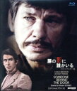 【中古】 扉の影に誰かいる HDリマスター版 【スペシャルプライス】(Blu-ray Disc)/チャールズ・ブロンソン,アンソニー・パーキンス,ジル・アイアランド,アンリ・ガルサン,ニコラス・ジェスネール,ジャック・ロベール,ジョルジュ・ガル