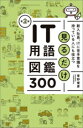 【中古】 見るだけIT用語図鑑300 第2版 新入社員、ITに苦手意識を持っている人にも役立つ/草野俊彦(著者)
