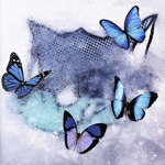 【中古】 Frozen　Butterfly（DVD付）／WOLF　HOWL　HARMONY　from　EXILE　TRIBE