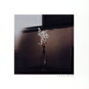 【中古】 vase/RAY