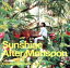 【中古】 Sunshine After Monsoon/川口大輔 1,331円