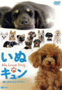 【中古】 シンフォレストDVD::いぬキュン 癒しのわんこシアター We Love Dog/(趣味/教養)