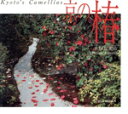 【中古】 京の椿 スイコブックス/水野克比古(著者)