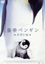 【中古】 皇帝ペンギン ただいま スペシャル・プライス/(ドキュメンタリー),リュック・ジャケ(監督、撮影),シリル・オフォール(音楽)