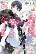 澤谷弥(著者),八美☆わん(イラスト)販売会社/発売会社：KADOKAWA発売年月日：2025/03/28JAN：9784047382923