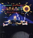 【中古】 眉村ちあき日本武道館LIVE「日本元気女歌手〜夢だけど夢じゃなかった〜(Blu−ray Disc)/眉村ちあき